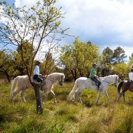 Montserrat Horseback Riding Tour from Barcelona with a Walk
