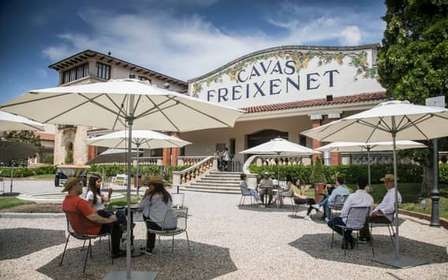 Barcelone : Visite guidée des caves de Freixenet