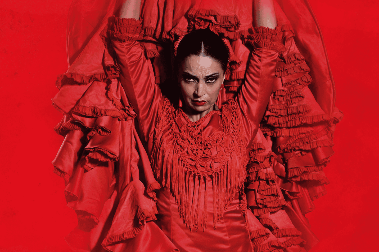Teatro Flamenco Barcelona: Inspiración Show in El Born