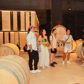 Von Barcelona aus: Ganztagestour Montserrat & Wein Kleingruppentour