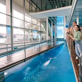 Aquário de Barcelona: Ingresso Sem Fila