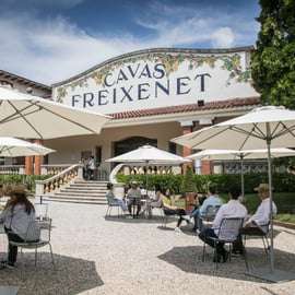 From Barcelona: Freixenet Cellars Guided Tour