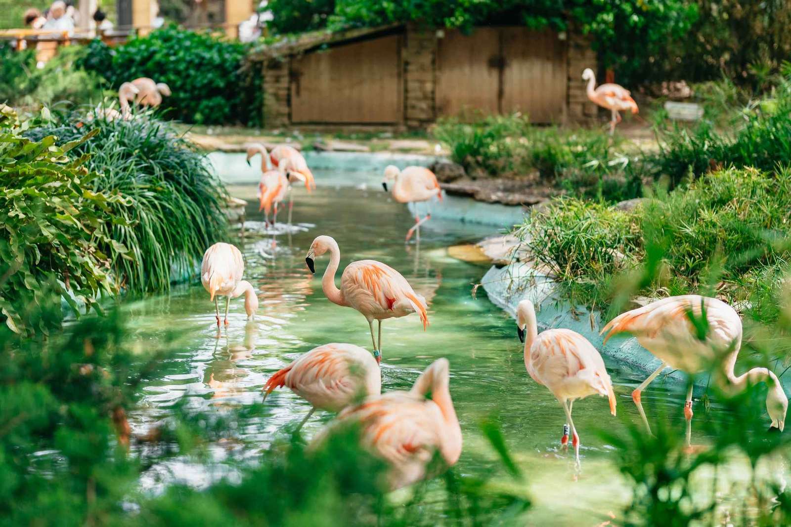 Barcelona: 1-Tagesticket für den Zoo von Barcelona