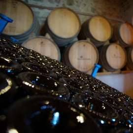 Au départ de Barcelone : Voile et dégustation de vins