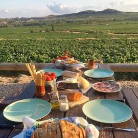 Visite de caves du Penedès : 3 domaines, cava et déjeuner