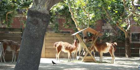 Zoo Barcelona