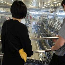 Barcelona: Rondleiding met proeverij door de Estrella Damm Brouwerij