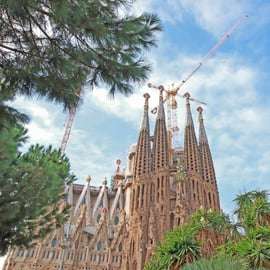 Barcelona: Sagrada Familia Tour with Optional Tower Access