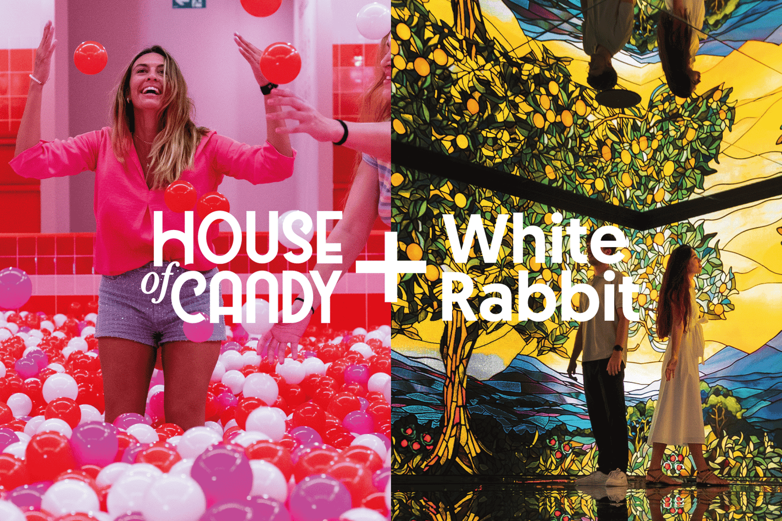 White Rabbit e House of Candy: ingresso combinado