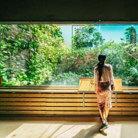 Barcelona: 1-Tagesticket für den Zoo von Barcelona