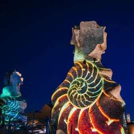 Visite nocturne de La Pedrera : projections sur le toit