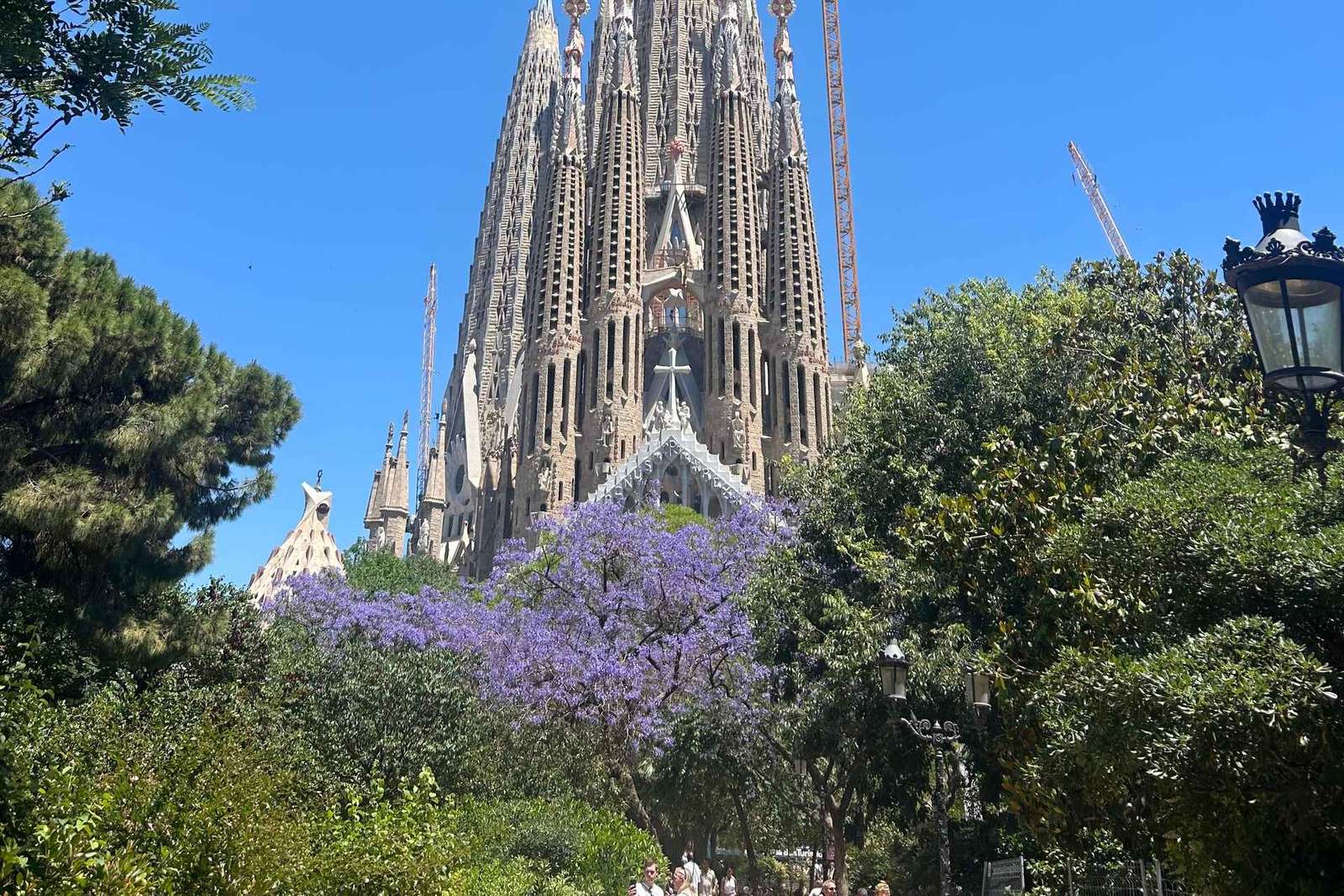 Sagrada Familia: Golden-Hour Guided Tour & Priority Access