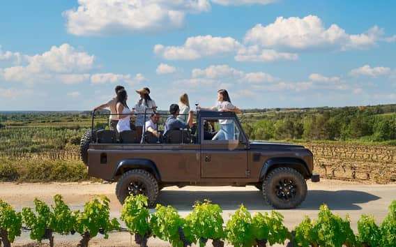 From Barcelona: Penedés Vineyards Tour by 4WD w/Wine & Cava
