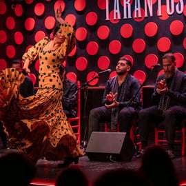 Barcelona: Espetáculo de Flamenco Los Tarantos