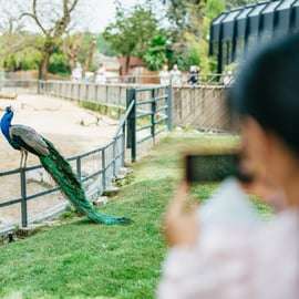 Barcelona: 1-Tagesticket für den Zoo von Barcelona