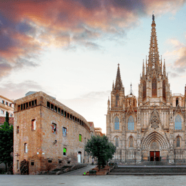 Barcelona: Cathedral Guided Tour with Rooftop Access