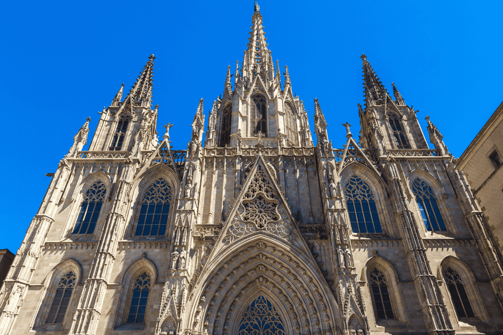 Barcelona: Cathedral Guided Tour with Rooftop Access