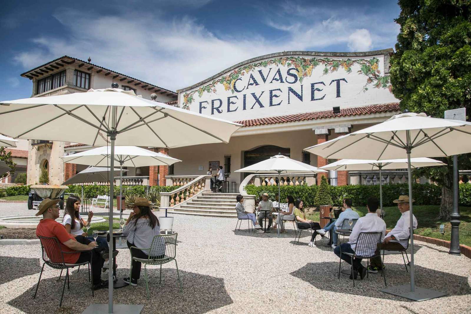 From Barcelona: Freixenet Cellars Guided Tour