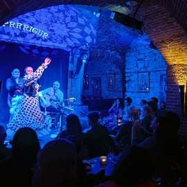 Barcelona: Exclusive Flamenco Show at El Paraigua with Drink