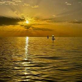 Sunrise Paddleboarding in Barceloneta with Photos