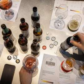 Barcelona: Rondleiding met proeverij door de Estrella Damm Brouwerij