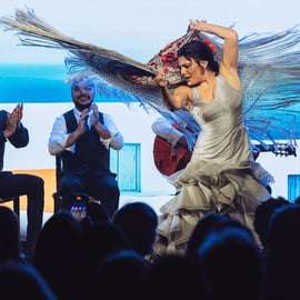 Teatro Flamenco Barcelona: Inspiración Show in El Born