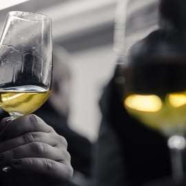 Cata de Vinos de Barcelona: Vinos catalanes y españoles