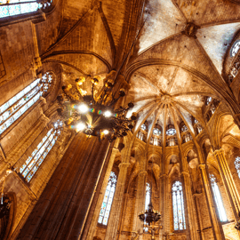 Barcelona: Cathedral Guided Tour with Rooftop Access