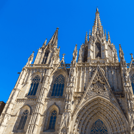 Barcelona: Cathedral Guided Tour with Rooftop Access