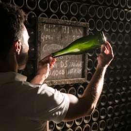 From Barcelona: Freixenet Cellars Guided Tour