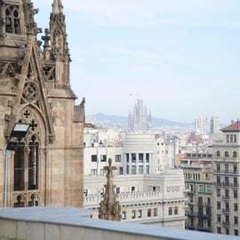 Barcelona: Cathedral Guided Tour with Rooftop Access