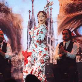 Teatro Flamenco Barcelona: Inspiración Show in El Born
