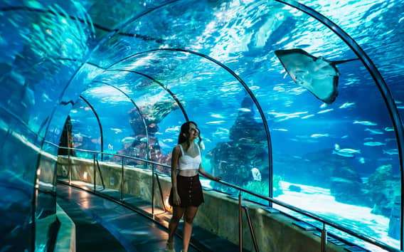 Aquarium de Barcelone : billet coupe-file