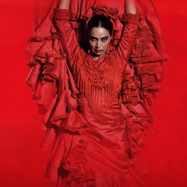 Teatro Flamenco Barcelona: Inspiración Show in El Born