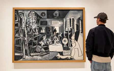 Barcelone : Visite guidée du Musée Picasso avec billets