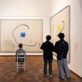 Barcelone : billet d'entrée coupe-file pour la Fundació Joan Miró