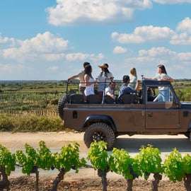 Z Barcelony výlet do vinic Penedès terénním vozem s ochutnávkou vína a cavy