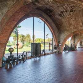 Barcelona: Caves Codorniu Wijnmakerij Tour gebaseerd op Anna's leven