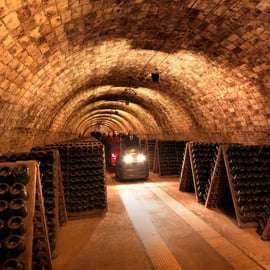Barcelona: Caves Codorniu Wijnmakerij Tour gebaseerd op Anna's leven